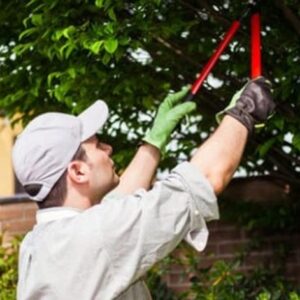 Why is tree pruning essential?
