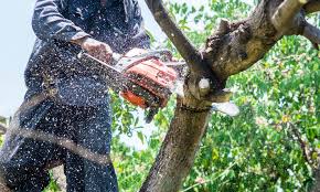 How does tree pruning help manage tree size?