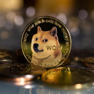 Dogecoin Mining in 2026: Complete Guide to Hardware, Pools, and Profitability